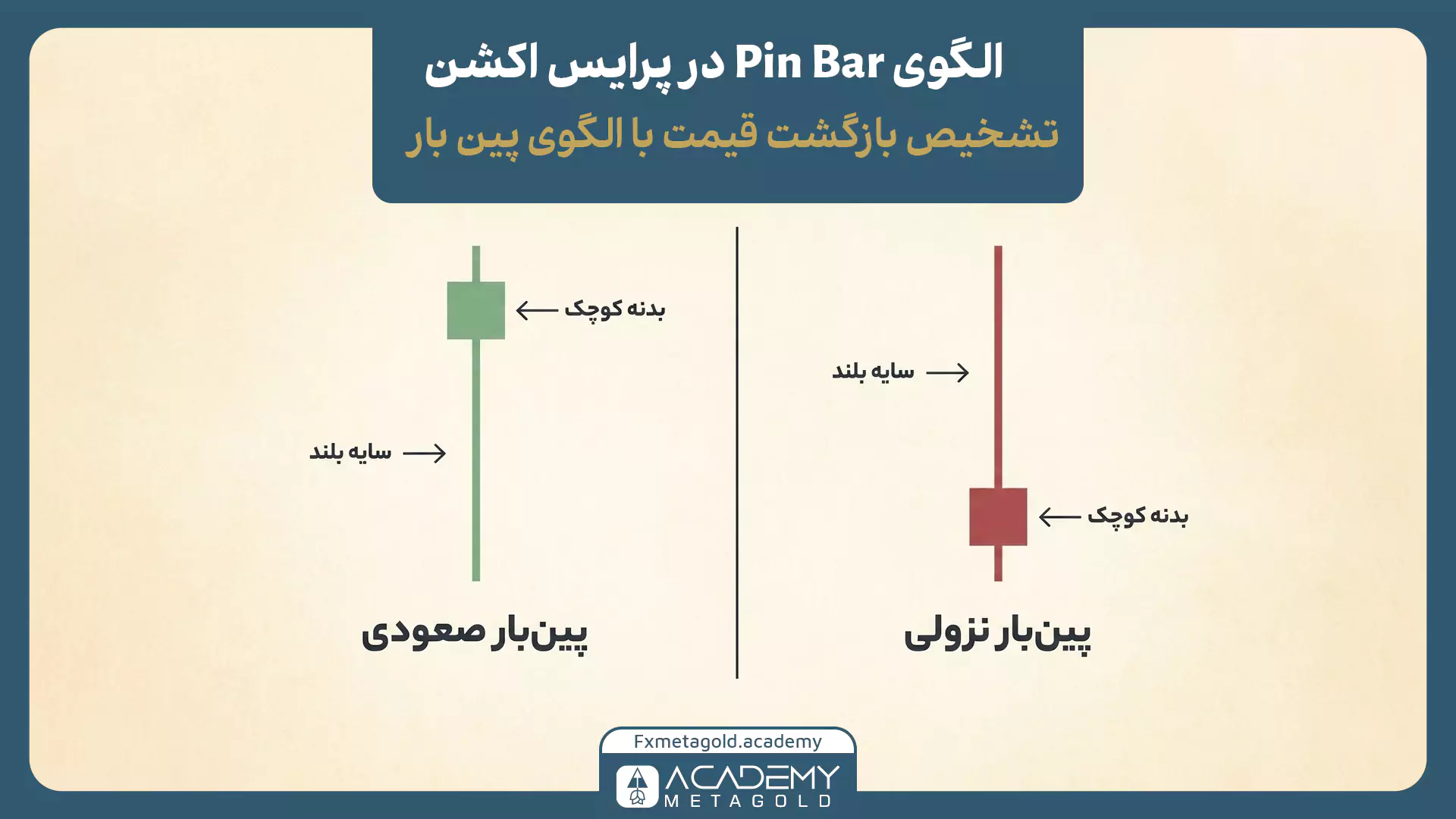 مقایسه پین بار صعودی و نزولی با بدنه کوچک و سایه بلند برای تشخیص بازگشت احتمالی قیمت