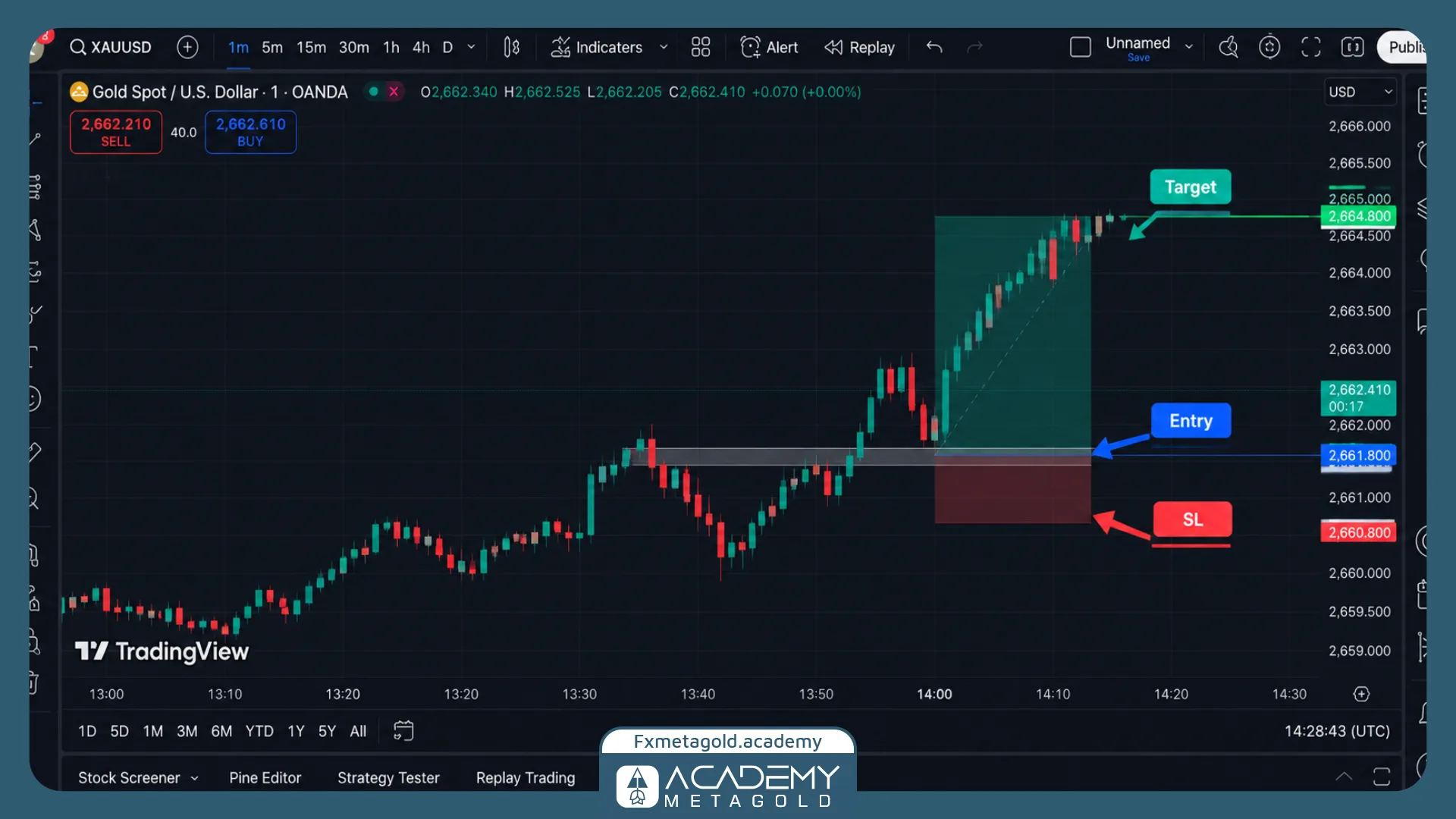 اسکرینشات واقعی XAUUSD با فید OANDA و تایمفریم M1